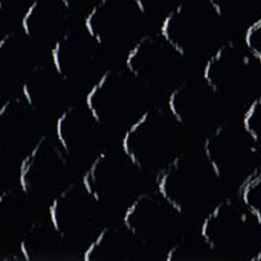 COLOR NEGRO SN 